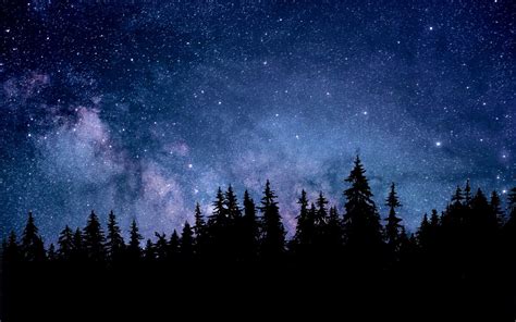 Starry Forest Wallpapers - Top Free Starry Forest Backgrounds - WallpaperAccess