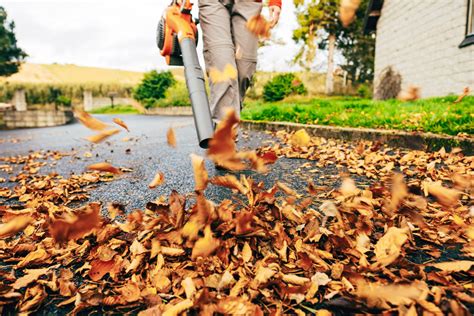 7 Best Leaf Blowers (2024 Guide) - This Old House