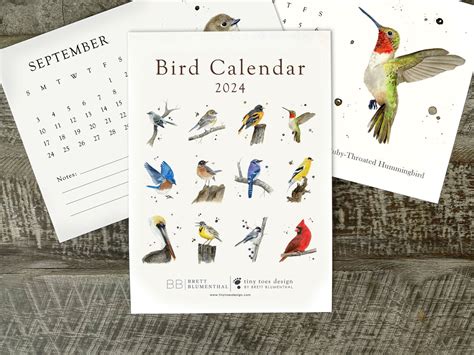 2024 Bird Calendar, Desk Calendar, Calendar With Stand, Audubon ...