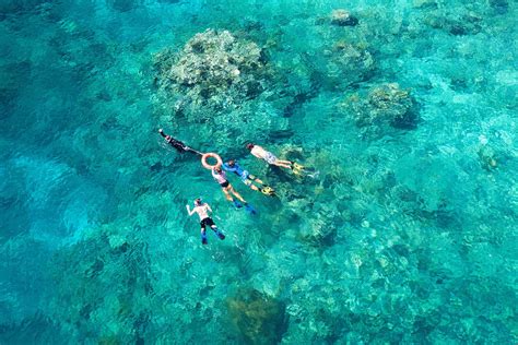 Snorkel Day Trip to Great Barrier Reef from Port Douglas | Divers Den