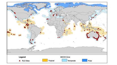 Global study reveals new hotspots of fish biodiversity | William & Mary