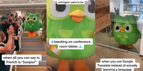 Duolingo’s mascot becomes a TikTok icon with hilarious viral videos and ...