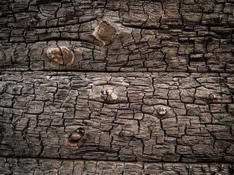 Burnt wood texture | Copyright-free photo (by M. Vorel) | LibreShot ...