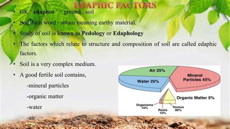 edaphic factors