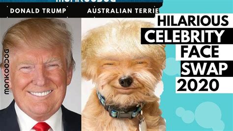 25 Most Hilarious Face Swap of Celebrities with Dogs || Dogs look like celebrities || Monkoodog ...