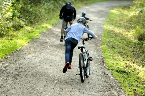 Whitemoor trail at Delamere | Forestry England