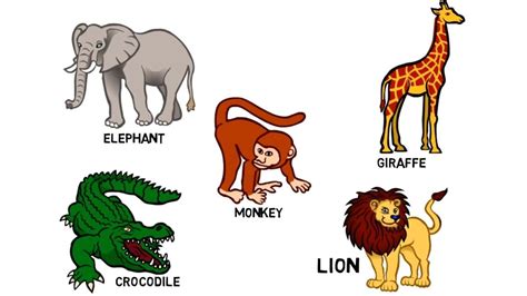 Wild Animals Clipart With Names