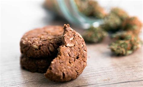 Legal cannabis edibles offer an opportunity for snack and bakery companies | 2017-11-20 | Snack ...