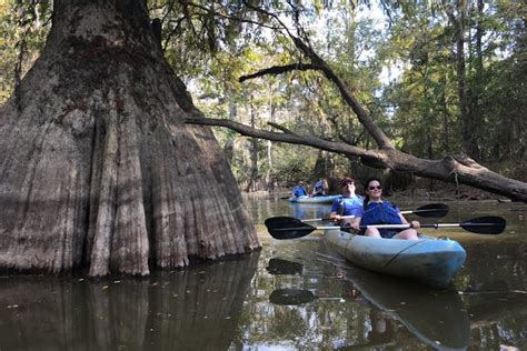 Honey Island Kayak Swamp Tours ~ Best Keep the Wildlife Wild~