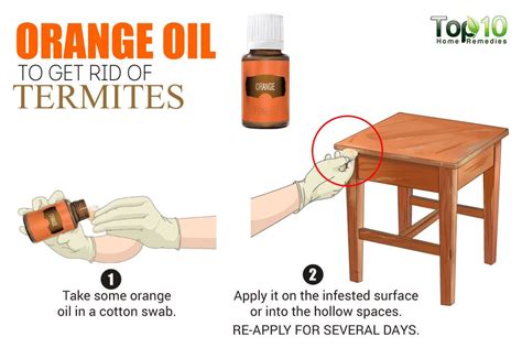 How to Get Rid of Termites | Top 10 Home Remedies