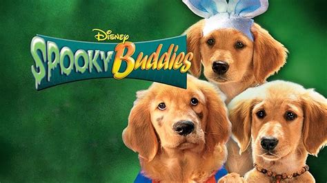 Prime Video: Air Buddies