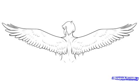 Human With Wings Drawing