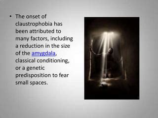 Claustrophobia | PPT