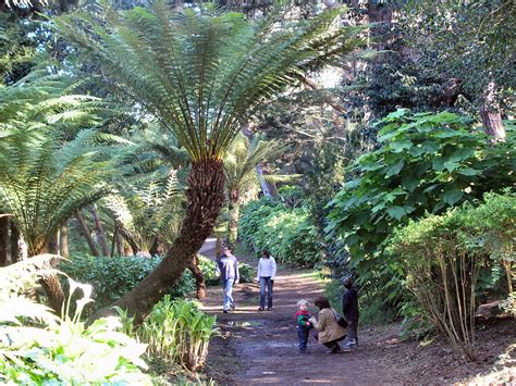 San Francisco Botanical Garden, Golden Gate Park. in 2023 | Golden gate ...