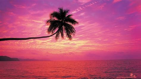 Pink Nature Aesthetic Wallpapers - Top Free Pink Nature Aesthetic Backgrounds - WallpaperAccess