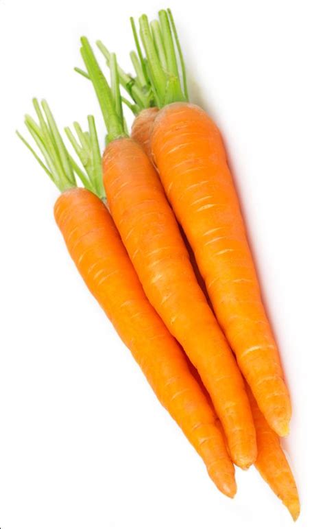 Yellow Carrot | Fruit and veg shop, Vegetable shop, Vegetable pictures