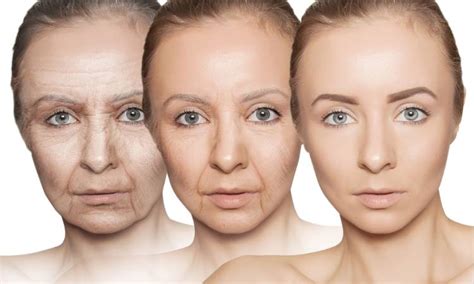 Aging May Be Reversed With The Smoothing Of Wrinkled Cells