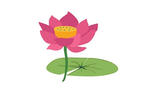 Pink lotus on green leaf clipart. Lotus flower and leaf vector design ...