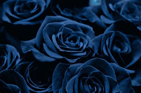 Dark Blue Flower Aesthetic Wallpapers - Wallpaper Cave