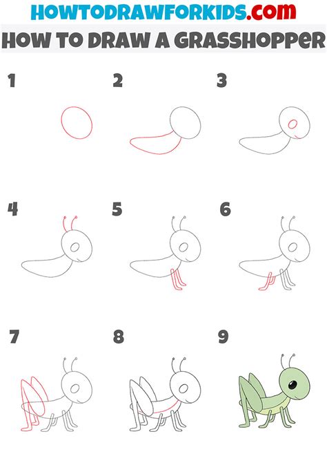 How to Draw a Grasshopper - Easy Drawing Tutorial For Kids