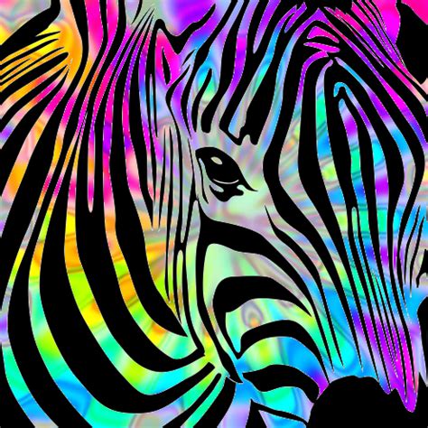 Rainbow Zebra Print Background