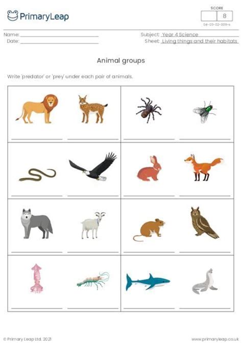 Grouping Animals - Predator Or Prey? in 2024 | Animal groups, Animal adaptations, Animal activities