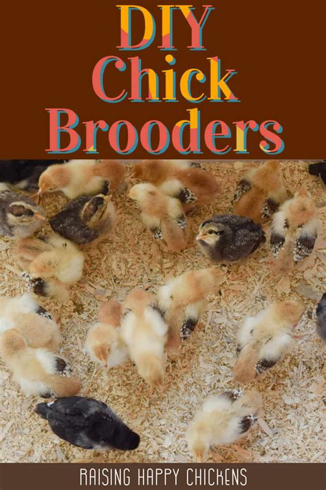 How to make a DIY brooder box for new and growing chicks.