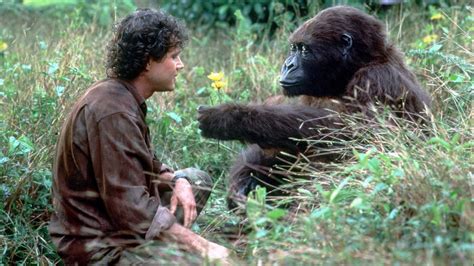 ‎Congo (1995) directed by Frank Marshall • Reviews, film + cast • Letterboxd