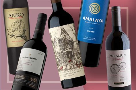 Argentine Malbec Is Better Than Ever | Malbec, Malbec wine, Wine