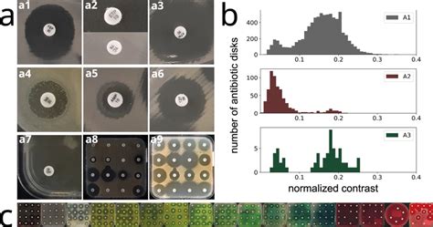 Variability in antibiogram pictures Examples of difficult cases for... | Download Scientific Diagram