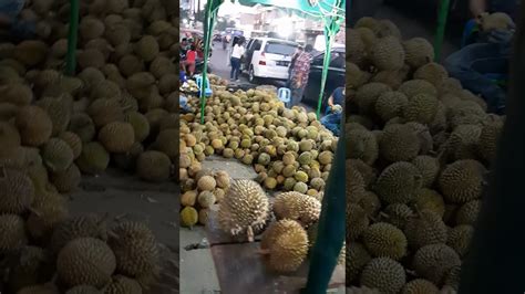 Makan durian - YouTube