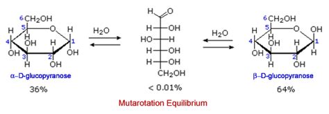 Mutarotation of Glucose Pyranose=6 member ring Furanose=5 member ring (fructose) | Organic ...