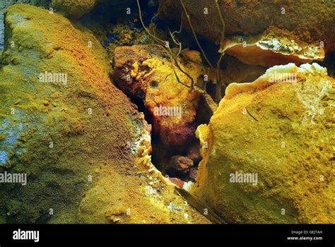 Campi Flegrei, Campania, Italy. Solfatara volcano. The fumarole. in ...