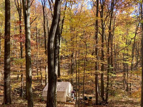 Camping in Coopers Rock State Forest - My Trails Are Many