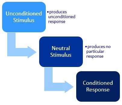 Classical Conditioning Chart