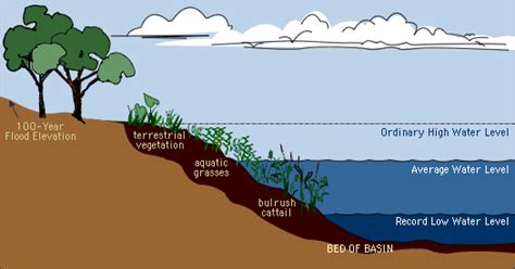 shoreland management - quick and easy answers - LAKE LEVELS - THE UPS AND DOWNS OF MANAGING LAKES