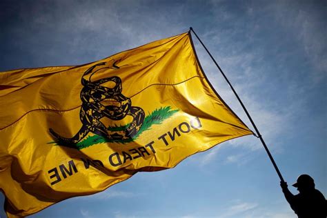 The Shifting Symbolism of the Gadsden Flag | The New Yorker