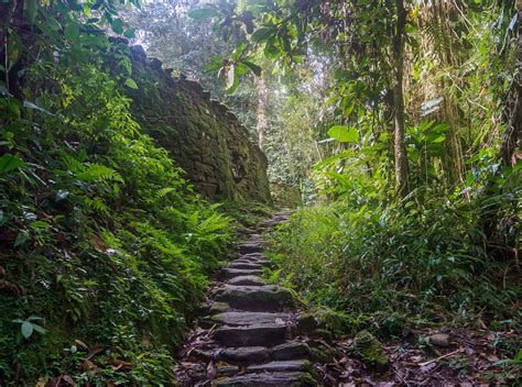 Ciudad Perdida Tour | Eco Hotel Finca La Jorará | Lost City Tour Colombia