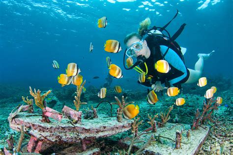 Scuba Diving in Nusa Lembongan and Nusa Penida, Bali | ZuBlu