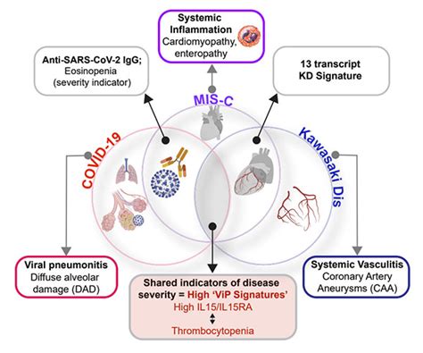 COVID-19, MIS-C and Kawasaki Disease Share Same Immune Response