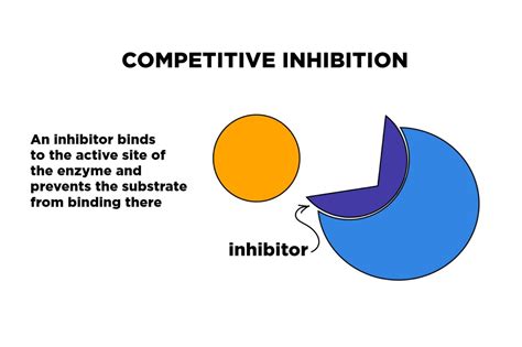 Competitiveness Synonym