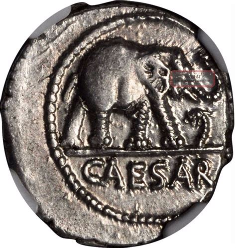 Julius Caesar 49bc Elephant Serpent Ancient Silver Roman Coin Ngc Ch Au ...