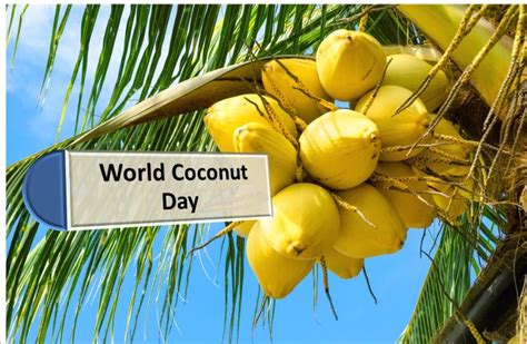 World Coconut Day 2023: Date, Benefits, Significance and History