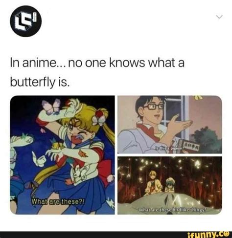 Details 71+ anime butterfly meme best - in.cdgdbentre