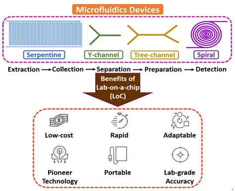 Biosensors | Free Full-Text | Recent Advances in Microfluidics-Based Electrochemical Sensors for ...