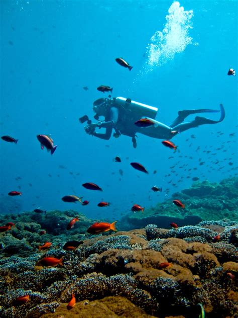 Scuba diving Bali Nusa Lembongan | Great diving around Nusa … | Flickr