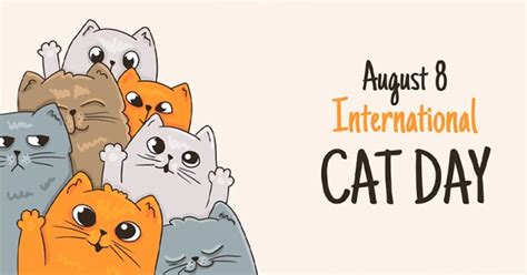 International Cat Day 2023 Celebrated On August 8th, Know Everything About Cats And The World ...