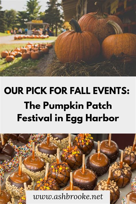 The Pumpkin Patch Festival in Egg Harbor | Pumpkin patch, Pumpkin, Festival