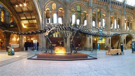 Dippy: this is your life | Natural History Museum