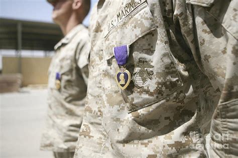 Purple Heart Recipients Photograph by Stocktrek Images - Fine Art America